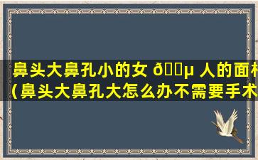 鼻头大鼻孔小的女 🌵 人的面相（鼻头大鼻孔大怎么办不需要手术的方法）